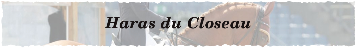 Haras du Closeau